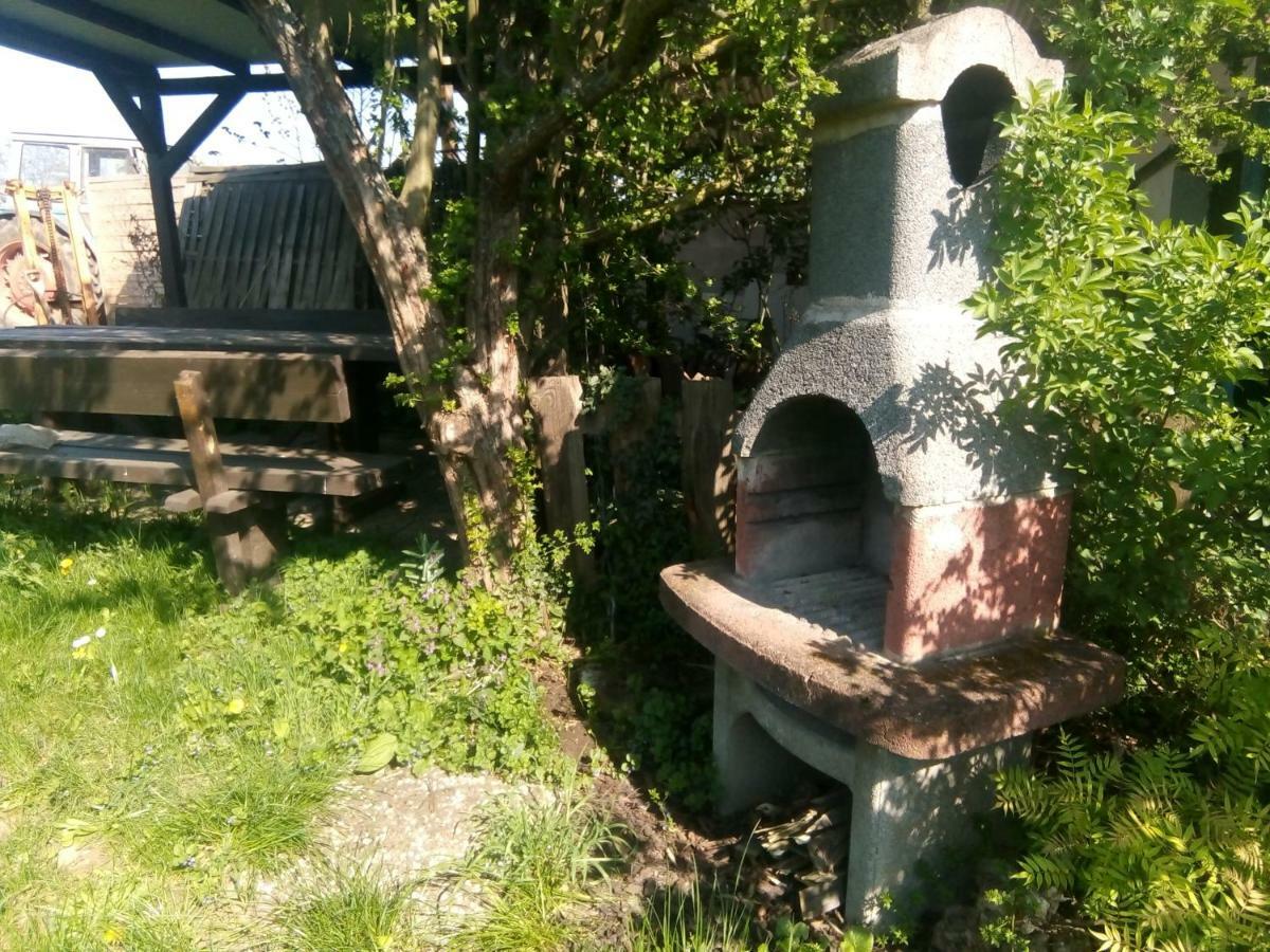 Ferienwohnung Weingut-Ferienhof Schäfer Gocklingen Exterior foto