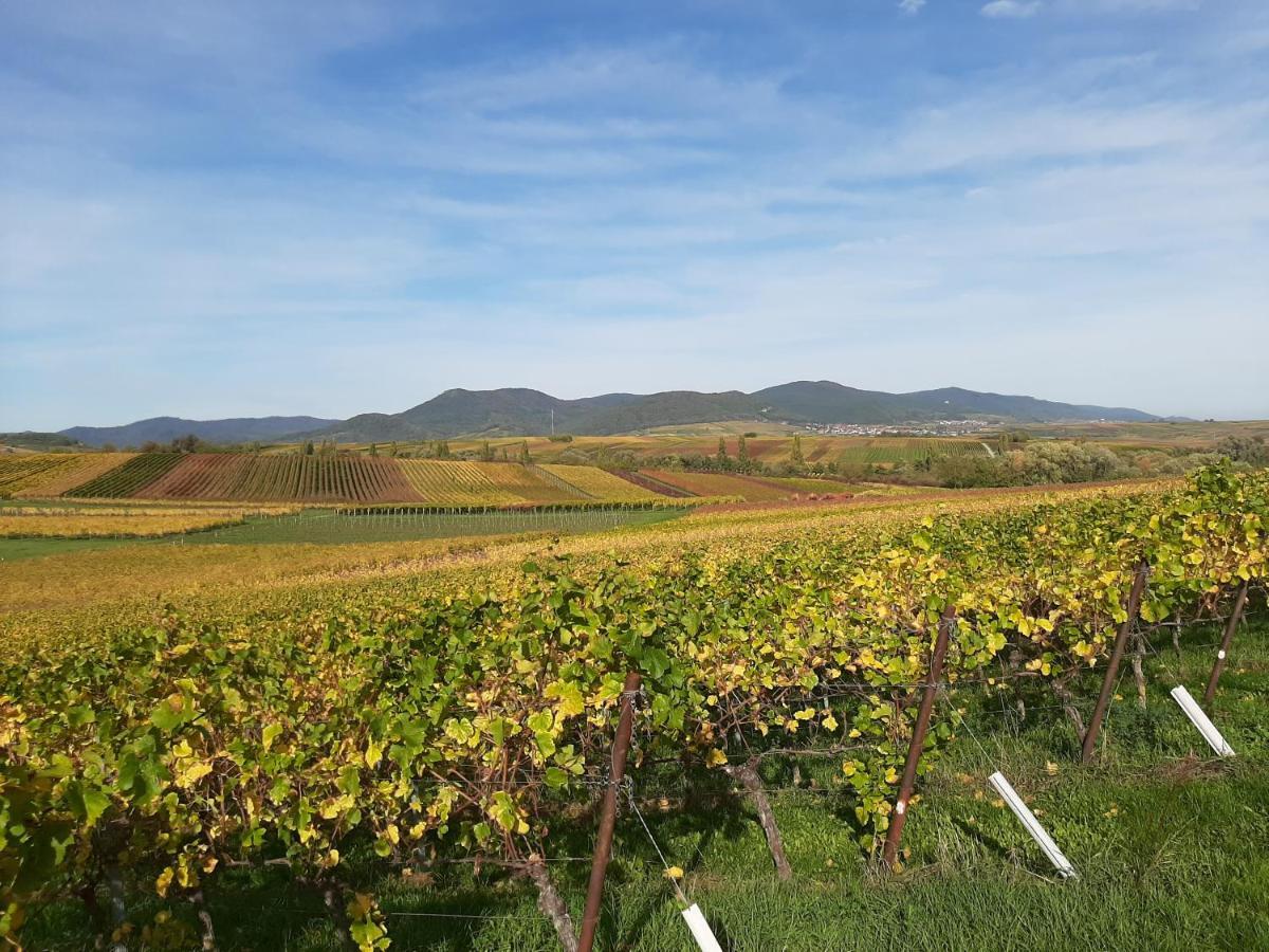 Ferienwohnung Weingut-Ferienhof Schäfer Gocklingen Exterior foto